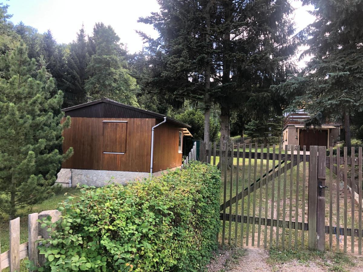 Waldfrieden Lejlighed Garnsdorf Eksteriør billede